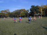 Click to see PA140076.JPG